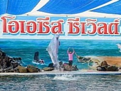โอเอซิส ซีเวิลด์