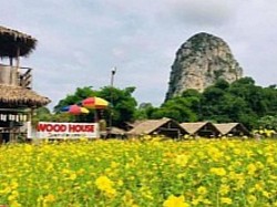Wood house