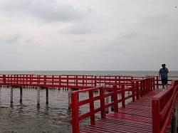 สะพานแดง จุดชมวิวปลาโลมา