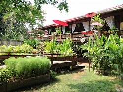 บ้านนาต้นจั่น
