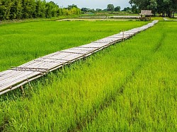 ภูกะเหรี่ยง