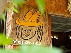 ฟาร์มสายทอง